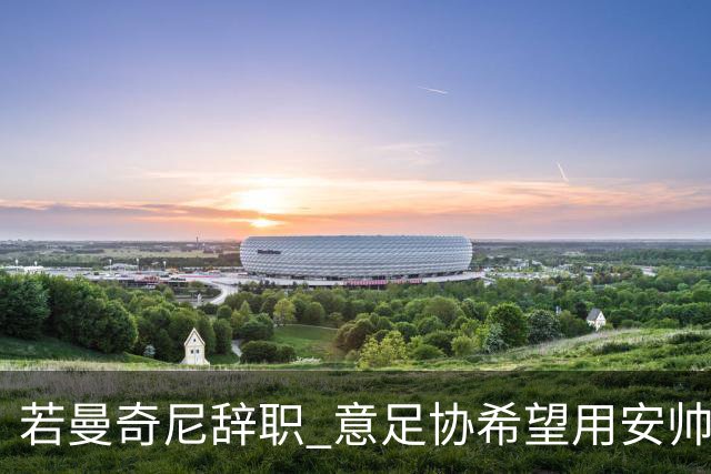 若曼奇尼辞职 意足协希望用安帅或卡纳瓦罗替代